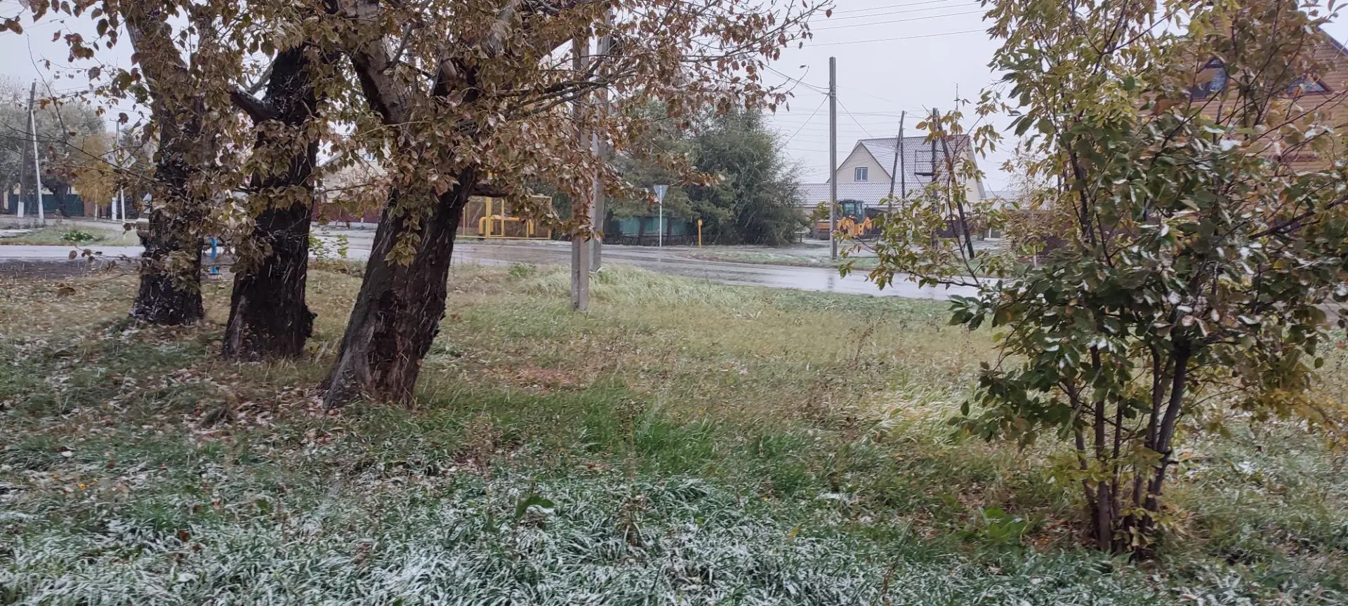 🌨️ Сегодня утром в Полтавке прошел первый снег