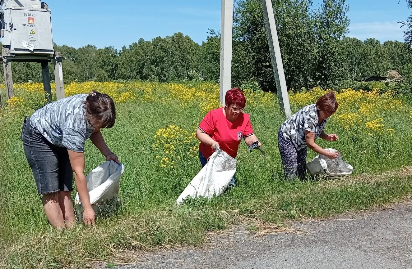 #ВсекузбасскийСубботник 
#мызачистоту
Коллектив Малопичугинского детского сада принял участие в субб