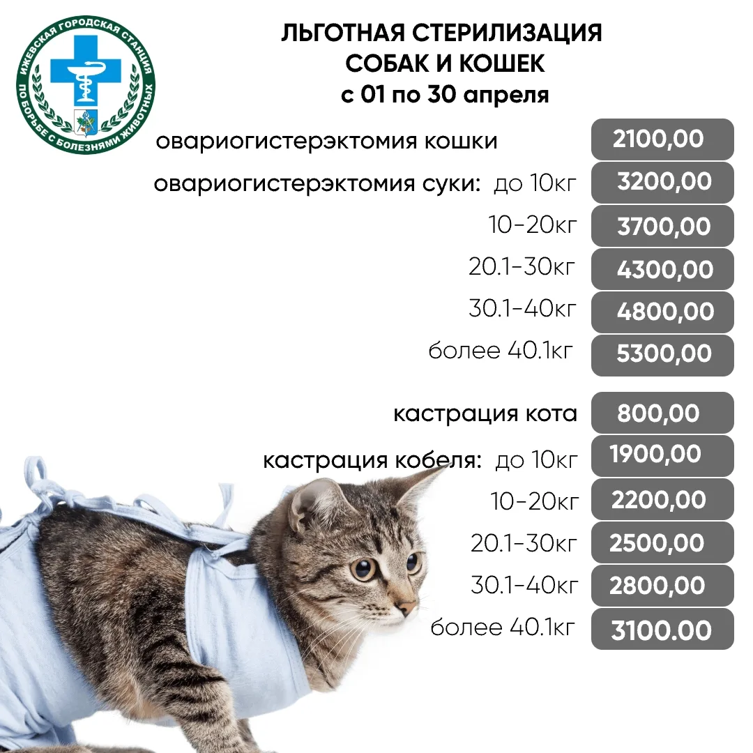 Вы — супер-хозяева! ❤️ Итоги двух недель льготной стерилизации.