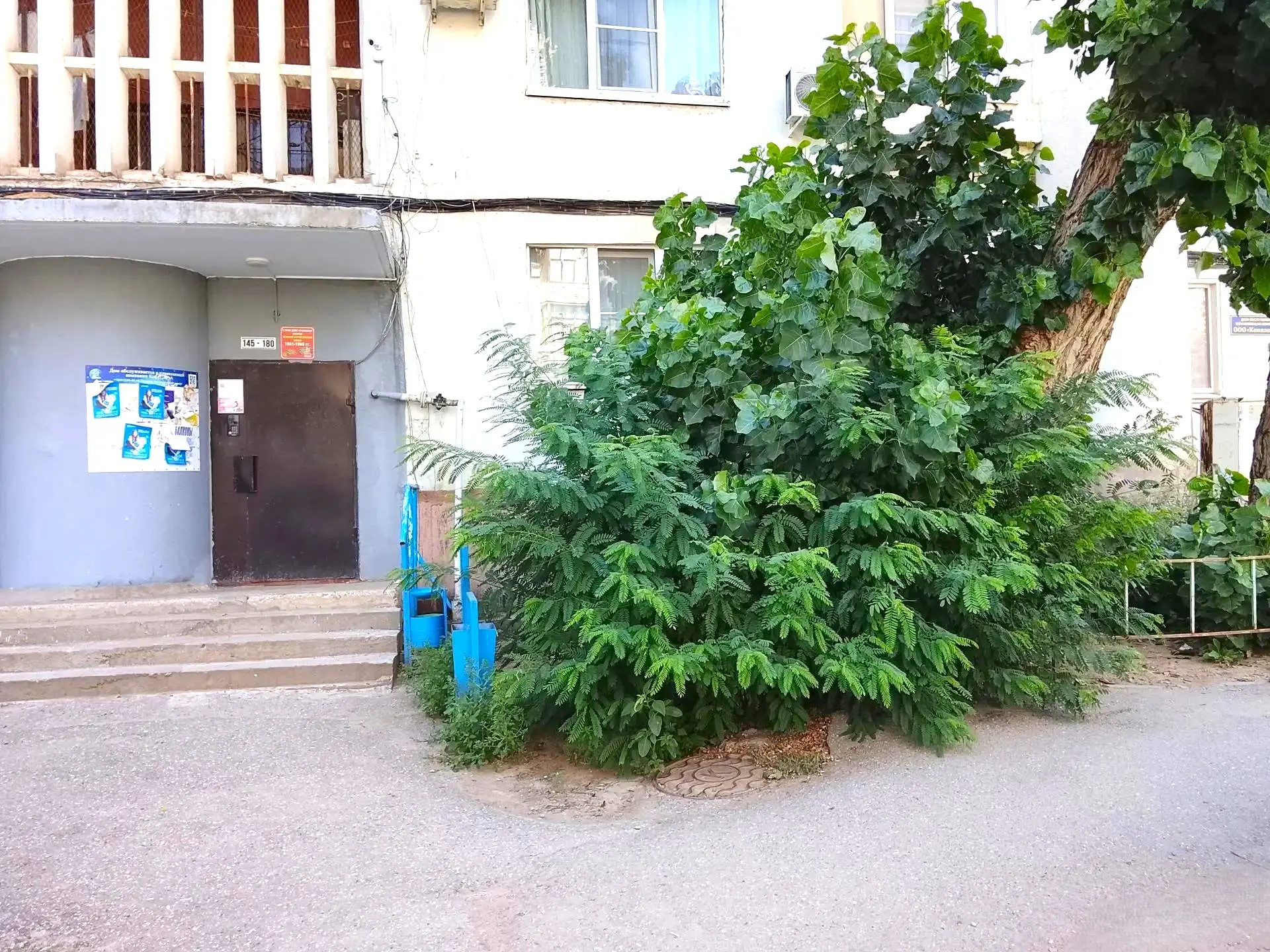 К новости «✂️ 🌳 Зеленый парикмахер:»
