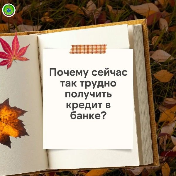 Почему сейчас так трудно получить кредит в банке❓