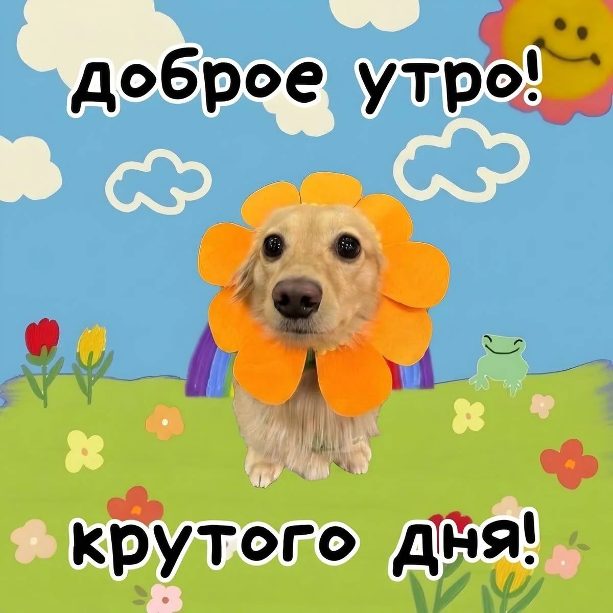 ☀️ 29 °С сегодня обещают, но облачно тоже будет.