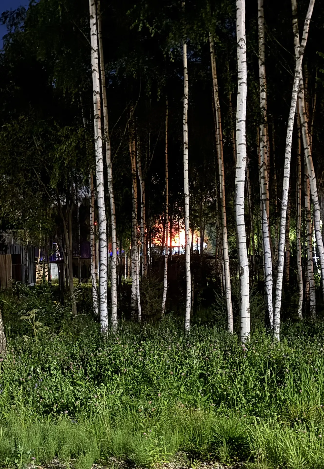 Вчера в нашей деревне случился пожар 😢 

Начался в маленькой веранды-пристройки. Пока хозяева замет