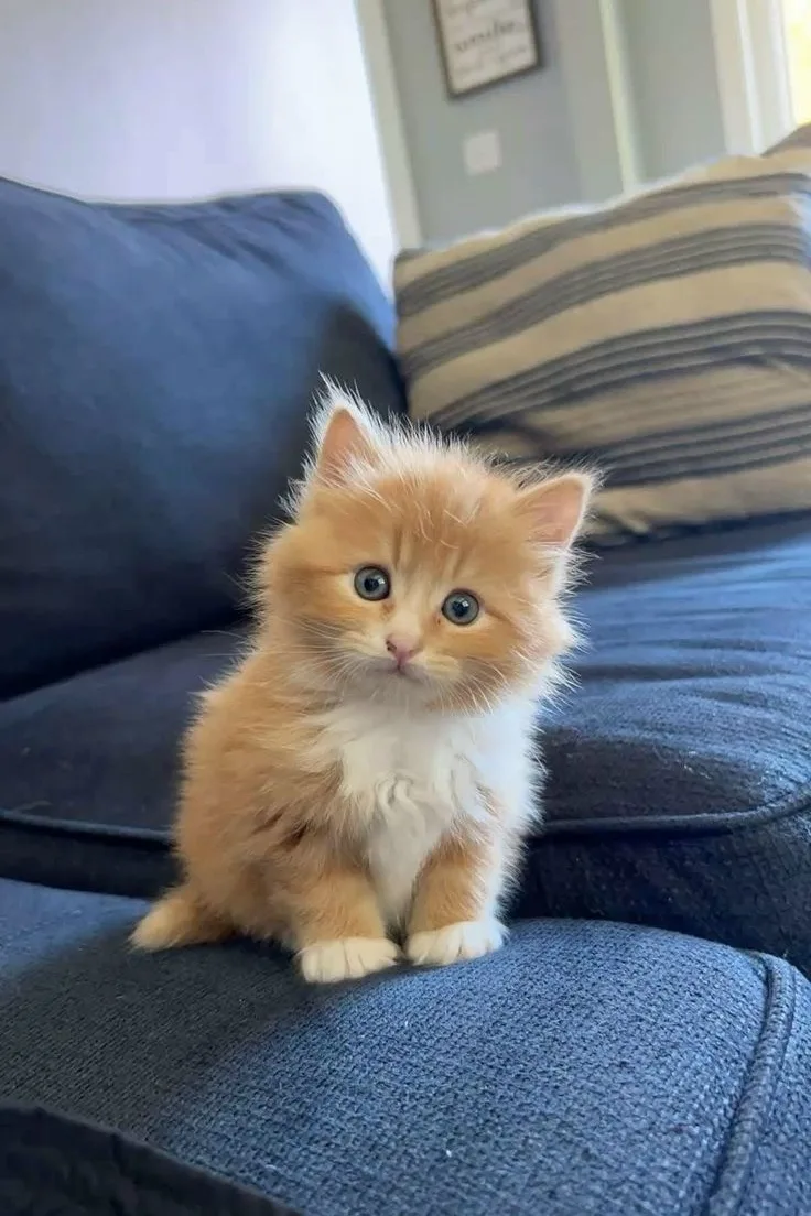 Милоты в ленту 💖
