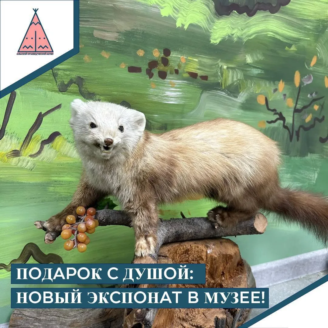 🎉 В нашем музее пополнение — особенный и очень трогательный экспонат! 😍 Это изящная ф...