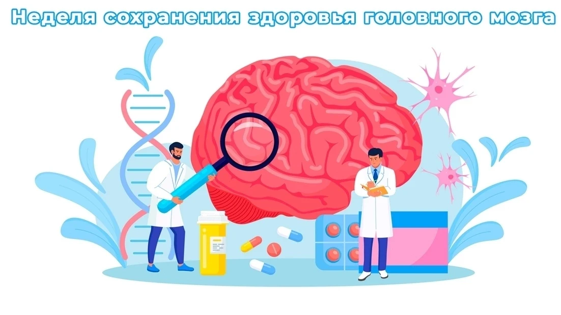 Мозг — самый сложный и загадочный орган, в нем 100 миллиардов нейронов и неисчислимое количество сое
