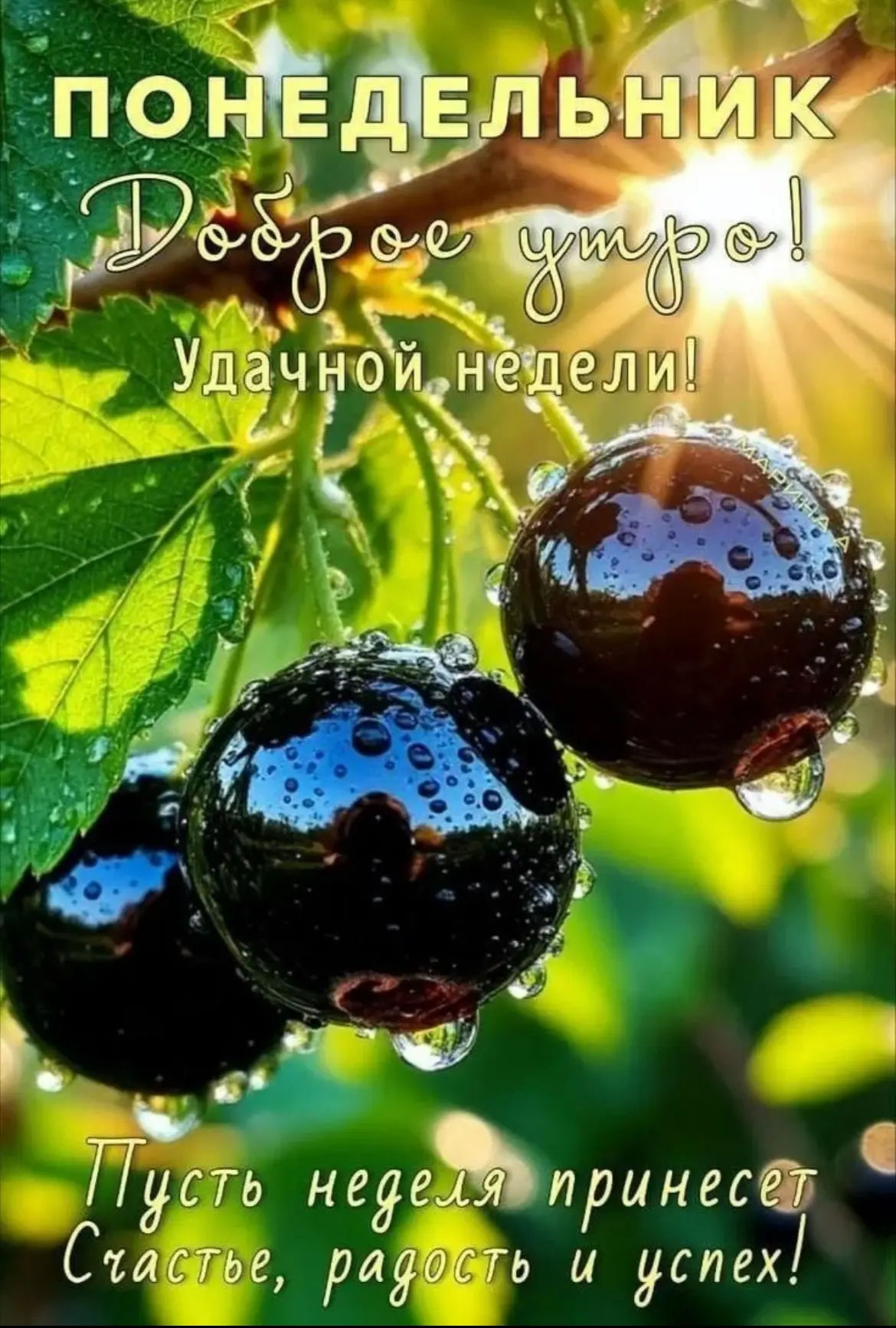 Доброе утро, мои дорогие подписчики 🥰

Отличной и удачной недели!

Рецепты от Марии Петровны!