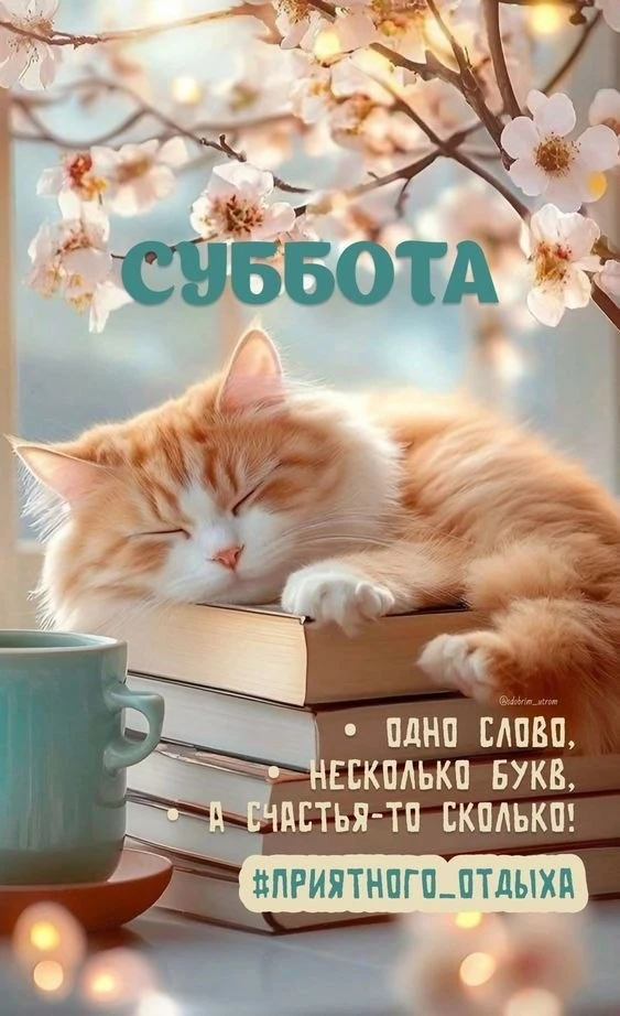 Не теряй нас, жми подписаться👇
ОТКРЫТКИ ДЛЯ ВСЕХ