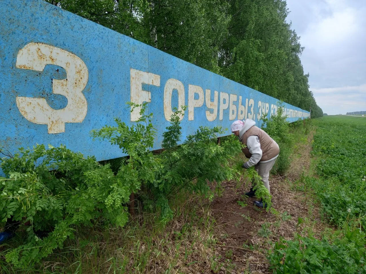29.05.2026г.🌳🌲🌳🌳а сегодня у нас снова субботник✌️
Очищаем лесополосы, расположенные в черте сель
