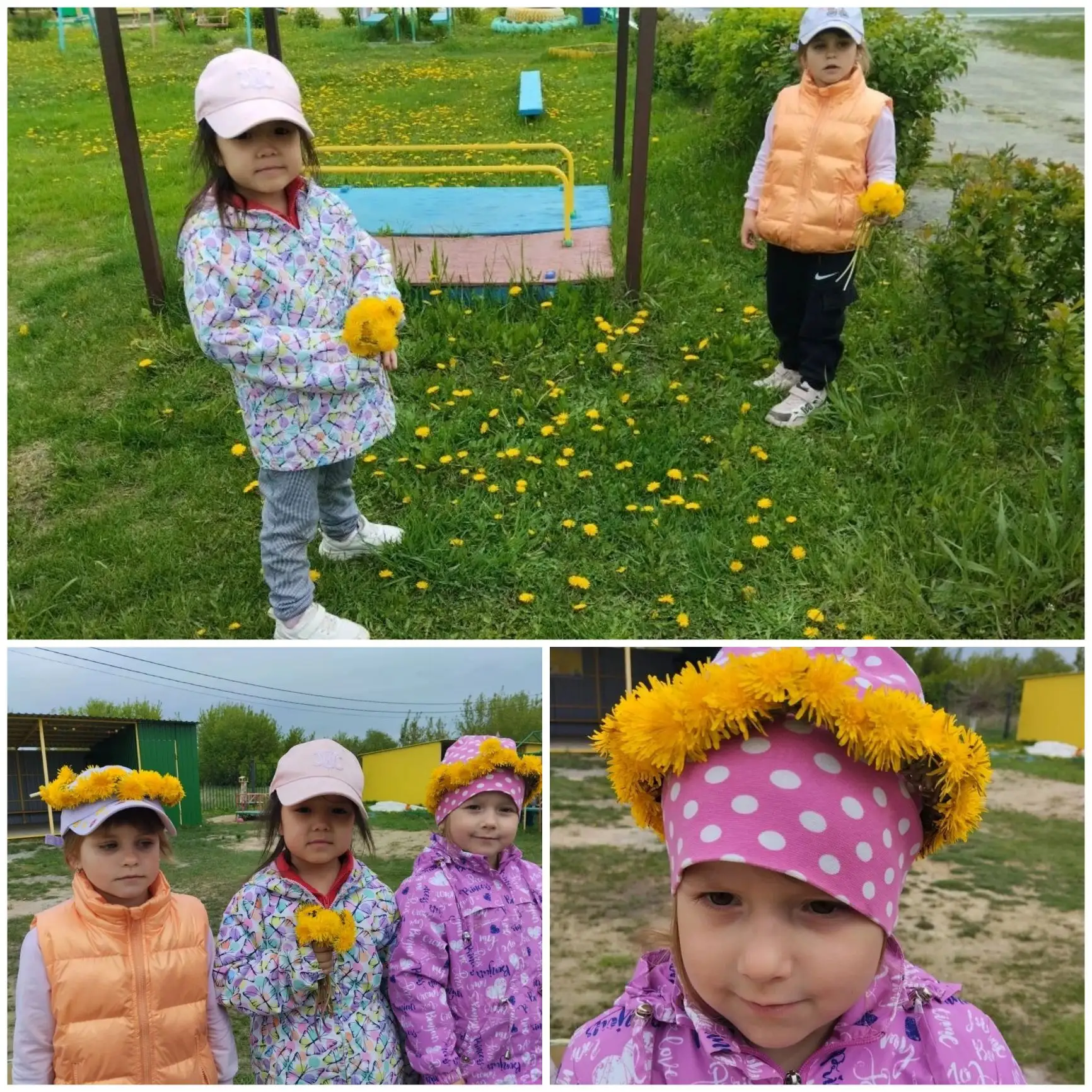 Одним из символов расцветающей весны являются весёлые жёлтые одуванчики.