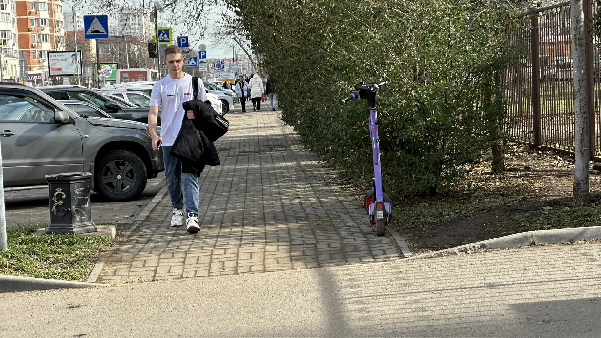 😉Обещали +19, выдали +17, но, мы справимся и с этим испытанием, а выглядят +17 в феврале вот так.   