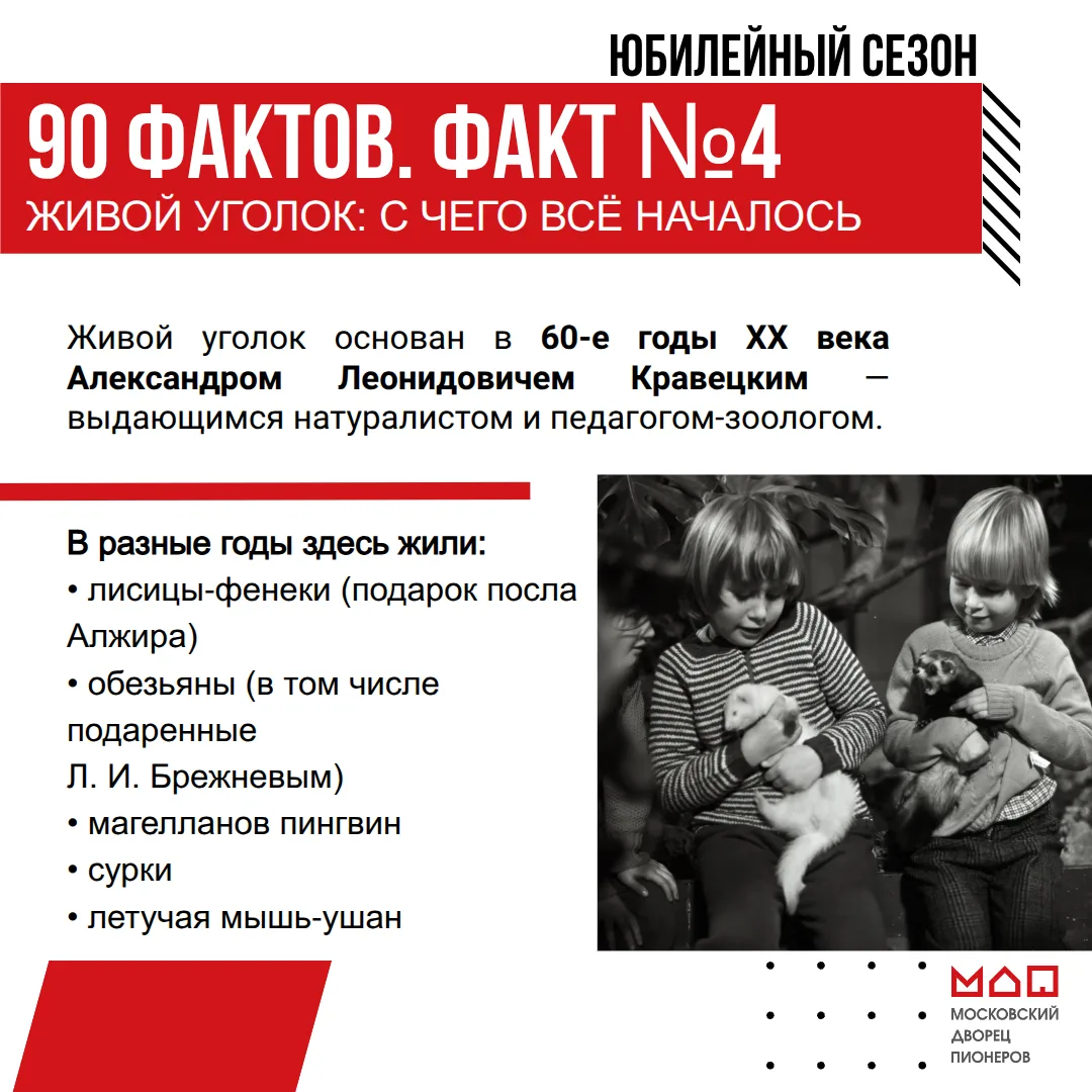 🏛 90 фактов о Дворце. Факт №4