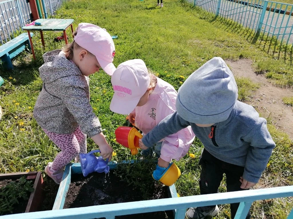 Юные аграрии группы «Неваляшки»🧑‍🌾: первые шаги в трудовом воспитании.
