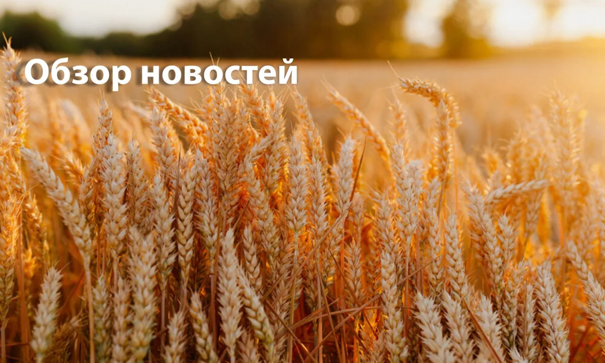Обзор новостей за неделю 🌾