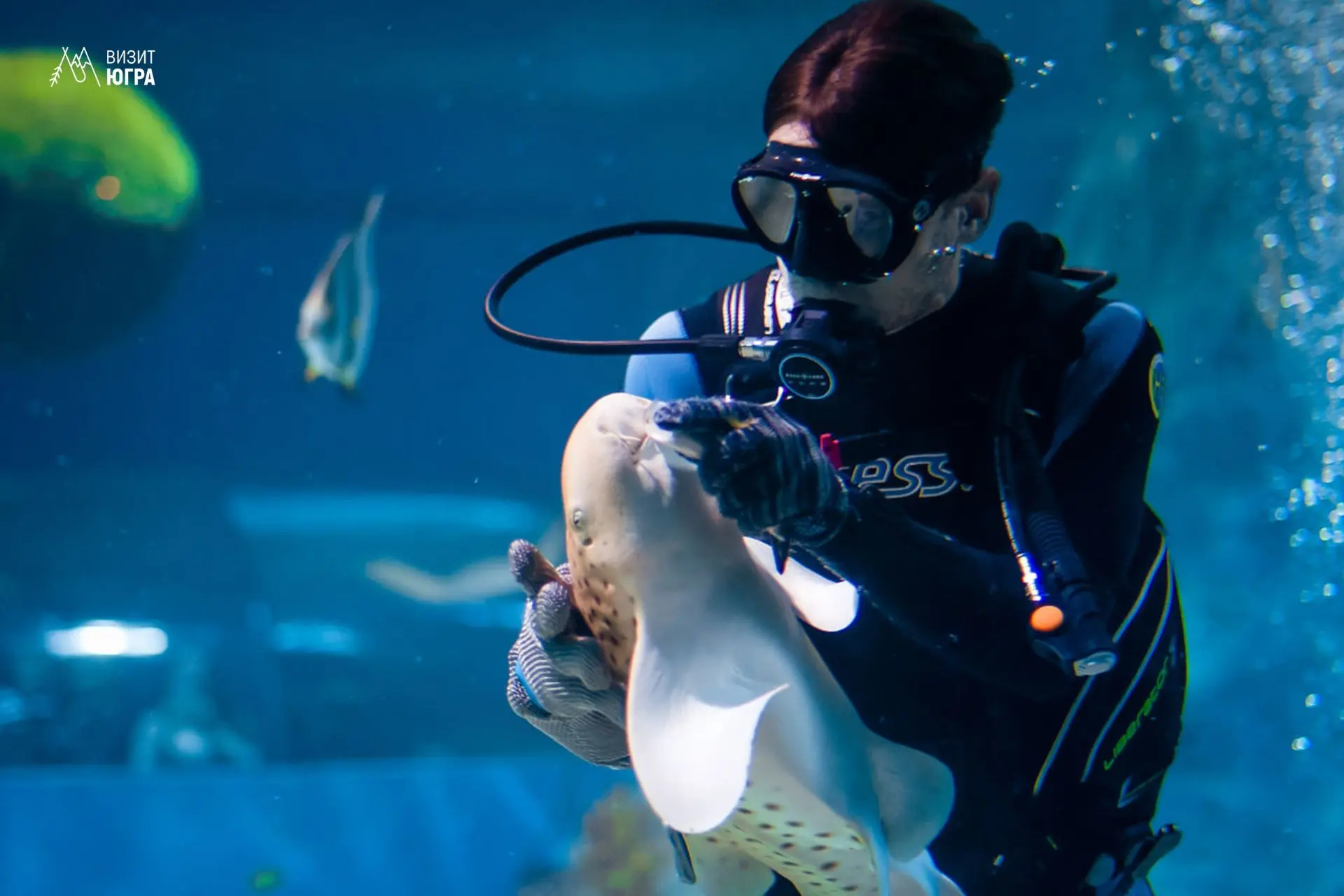 Путешествие в подводный мир в Когалыме🦈