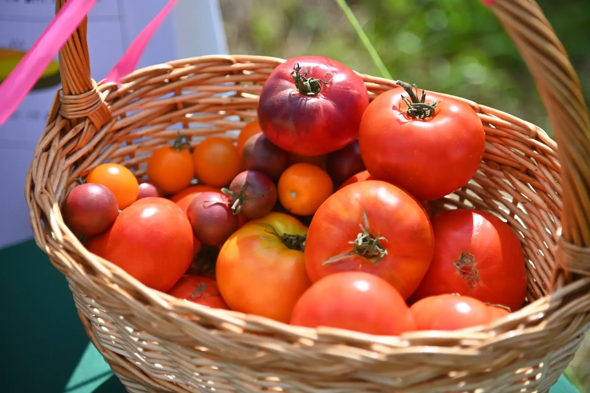 Какие продукты подорожали в Оренбуржье?