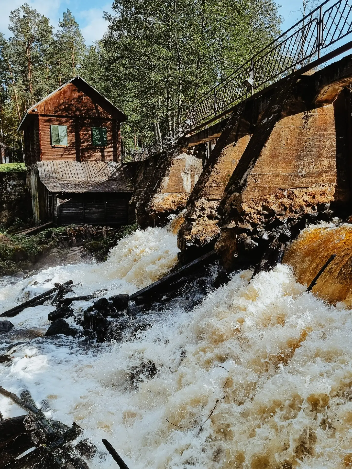 Природный заказник "Гряда Вярямянселькя’’🌲