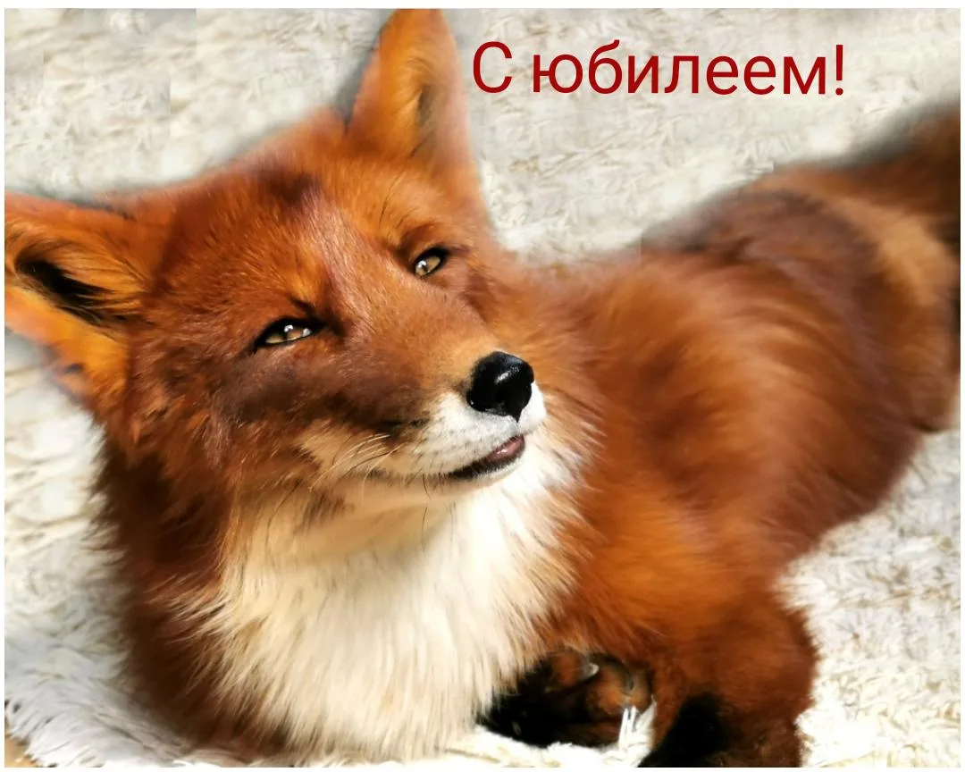 Поздравляем Альфика 🥳