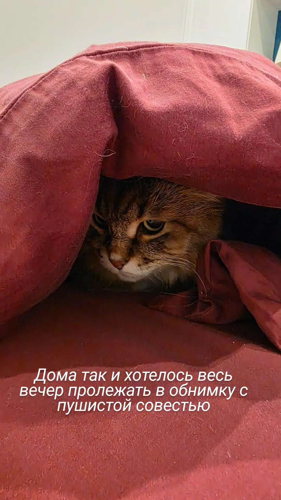 Уютной пятницы вам♥️