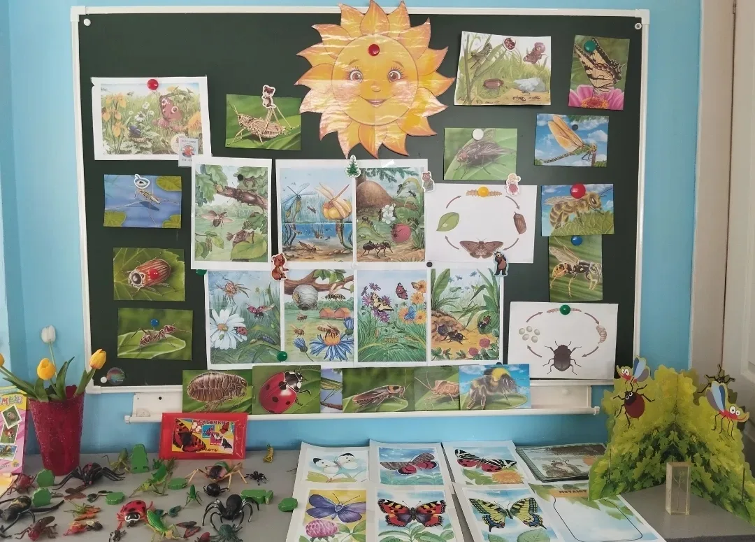 В  средней группе  "Золотая  рыбка" 🐠прошла увлекательная и познавательная тематическа...