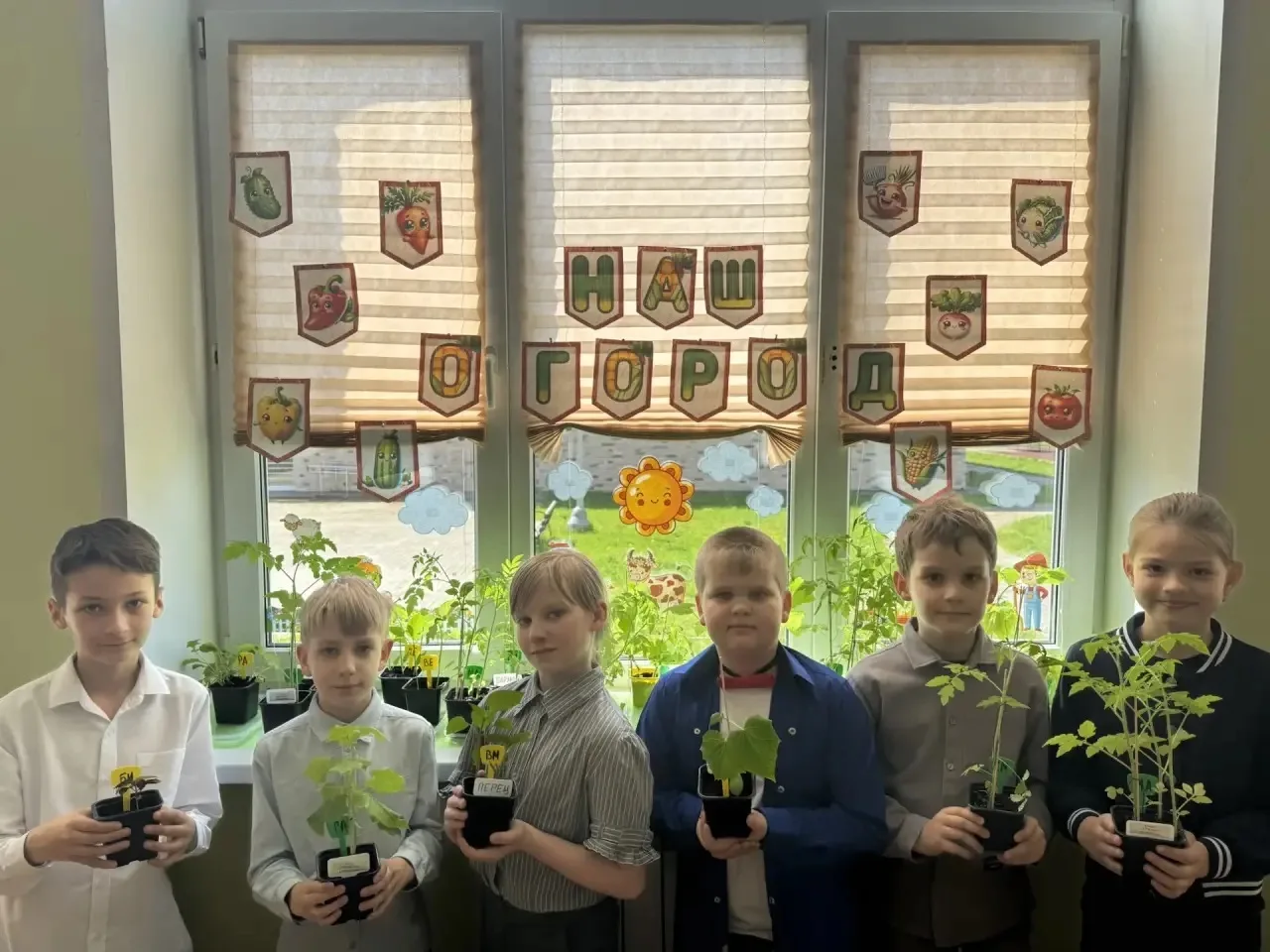 🌱У ребят из 3 «Г» класса на подоконнике ожил настоящий огород! 🌱Они решили провести эксперимент - мо