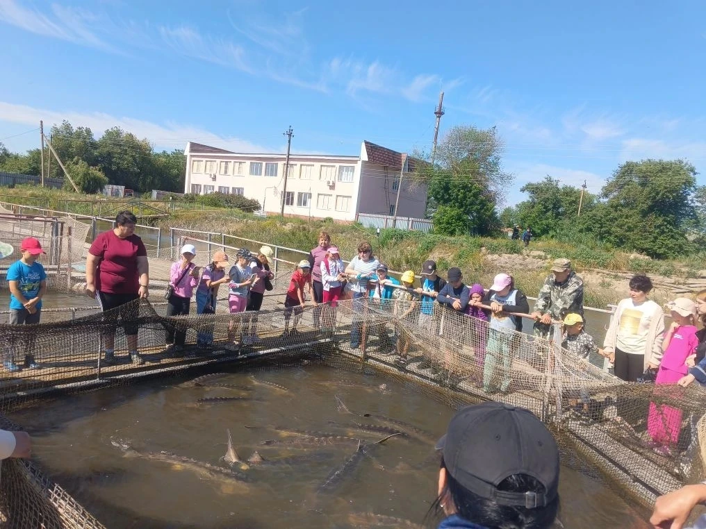 День 3 в лагере: Дружба, осетры и важные правила 🐟🎬

Сегодня день в нашем лагере выдался не только