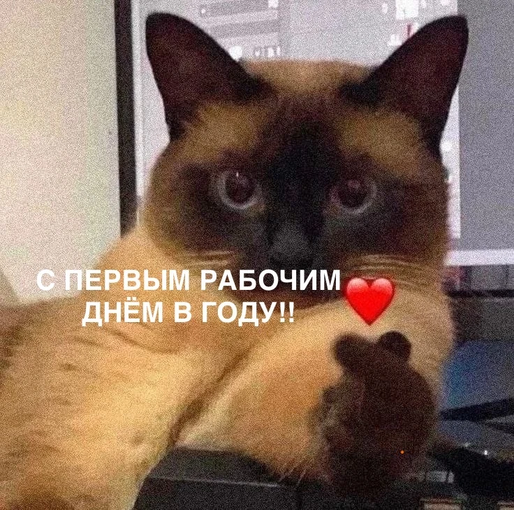 ☀️ Доброго утра и хорошего дня нашим дорогим подписчикам!   Новый год встретили, Рождество тоже, пор
