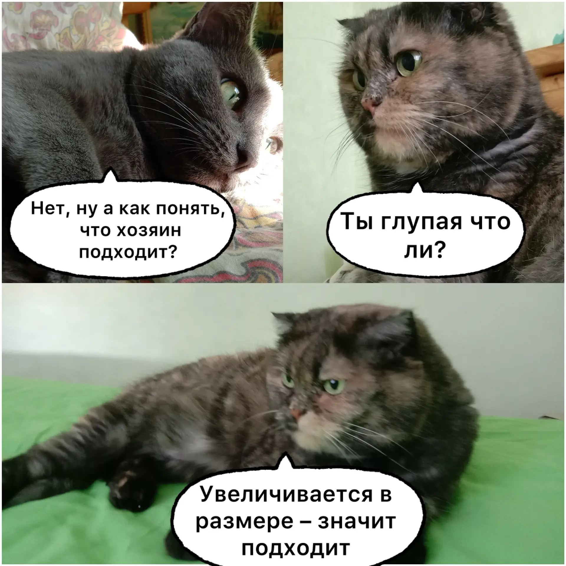 Все объяснять надо😼