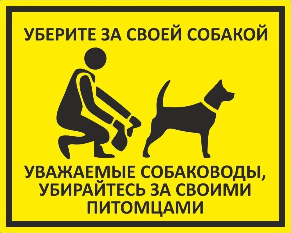 ‼ Давайте соблюдать чистоту и уважать друг друга!