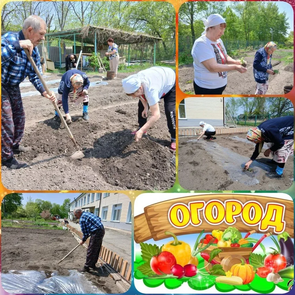 🥕🍉 Огородно-арбузный сезон открыт!