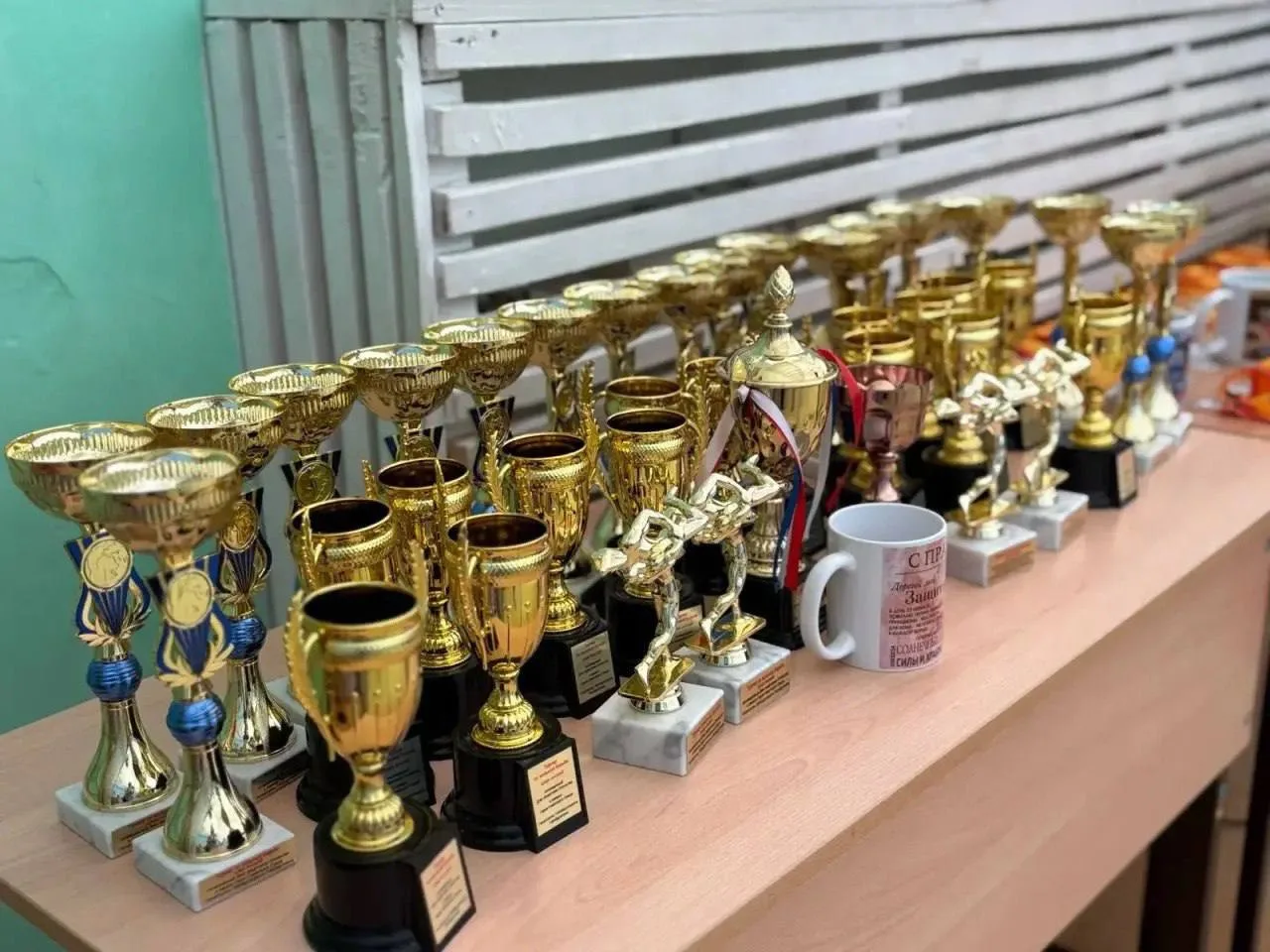 🤼‍♂️ Сила, честь и память: в Токаевской школе прошёл турнир по вольной борьбе