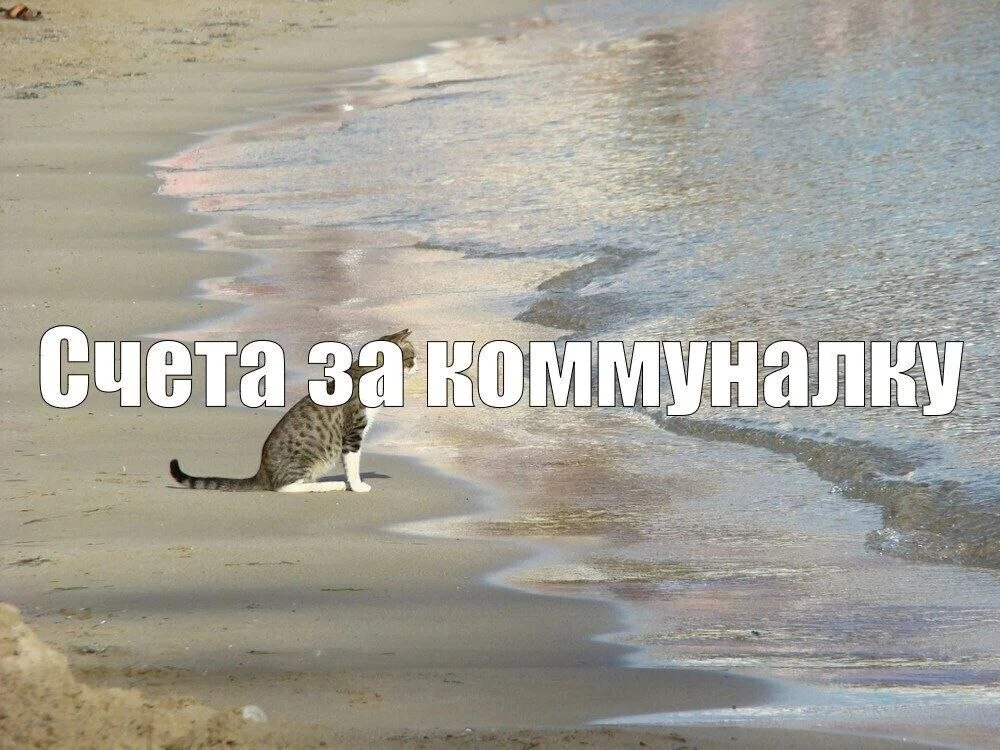 🥲 С сегодняшнего дня коммунальные платежи вырастут на 15,8% в Ставропольском крае