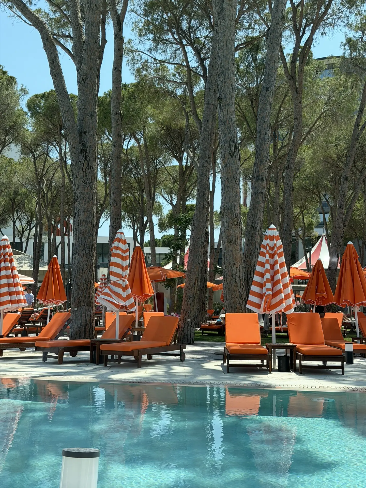 Еще одна новинка в Турции 🤩

TRENDY PERGE RESORT SUITES 5* 

Отель проинспеутировн лично 👌

✈️ Ека