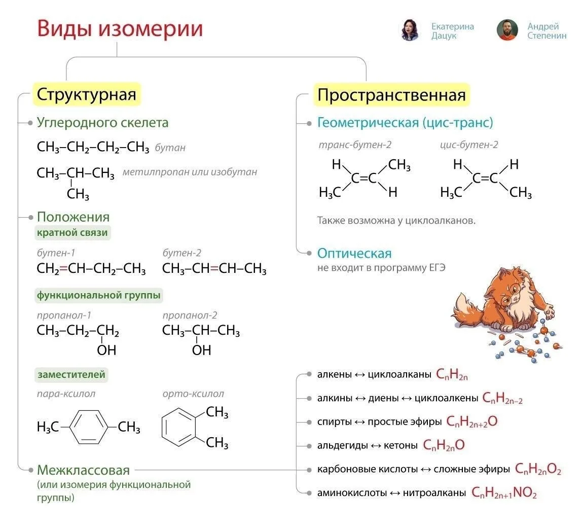 Строение органических веществ. Задание №11
