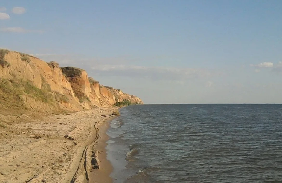 Сальдо заявил о потере Киевом крупного выхода в Черное море.