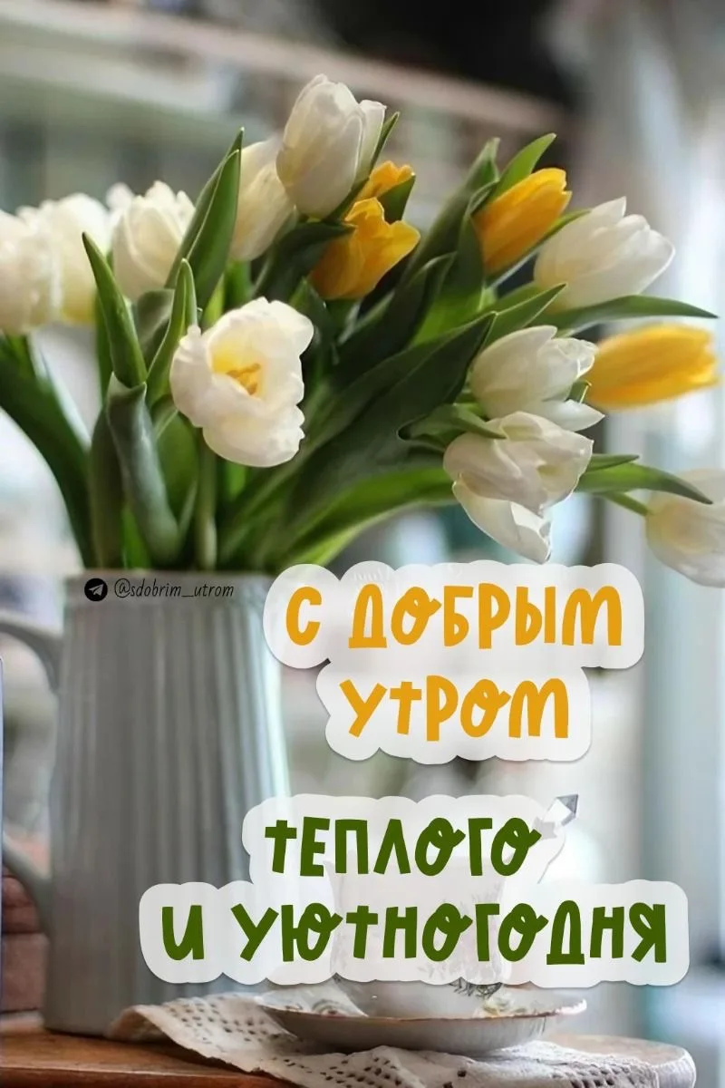#доброеутро