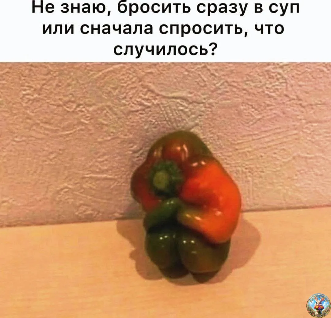 Картинки для настроения😊 | Юмор