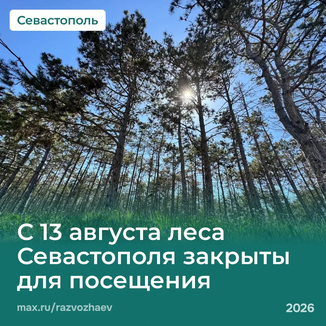 С 13 августа севастопольские леса будут закрыты для посещения.