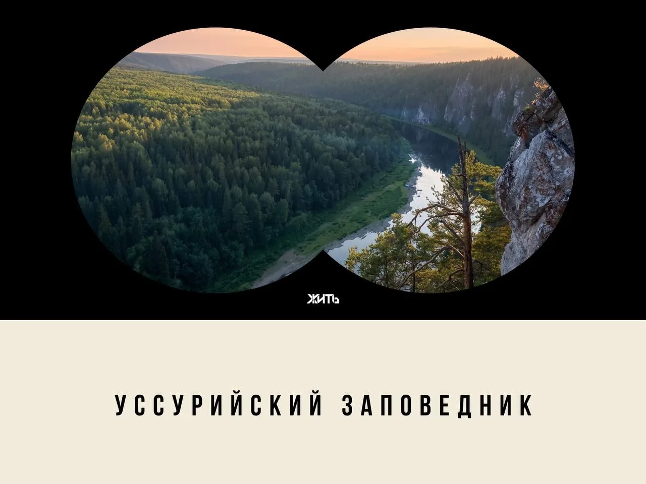 В густой уссурийской тайге сохранился один из самых древних лесов России. Уссурийский заповедник — т