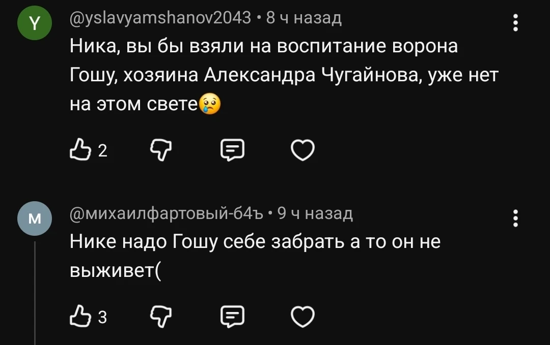 Ушёл из жизни Александр Чугайнов, хозяин уникального ворона Гоши и автор каналов и блог...