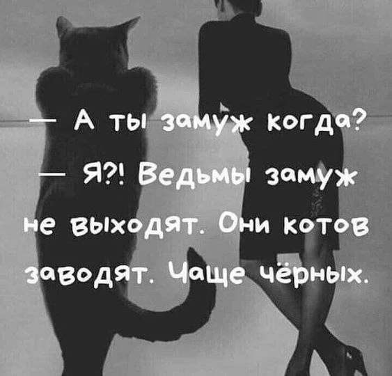 🇷🇺  Мы в МАХ : https://max.ru/club223115230