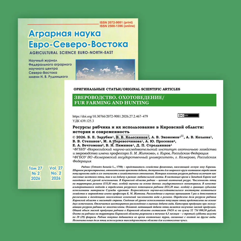 📚 Новая статья!