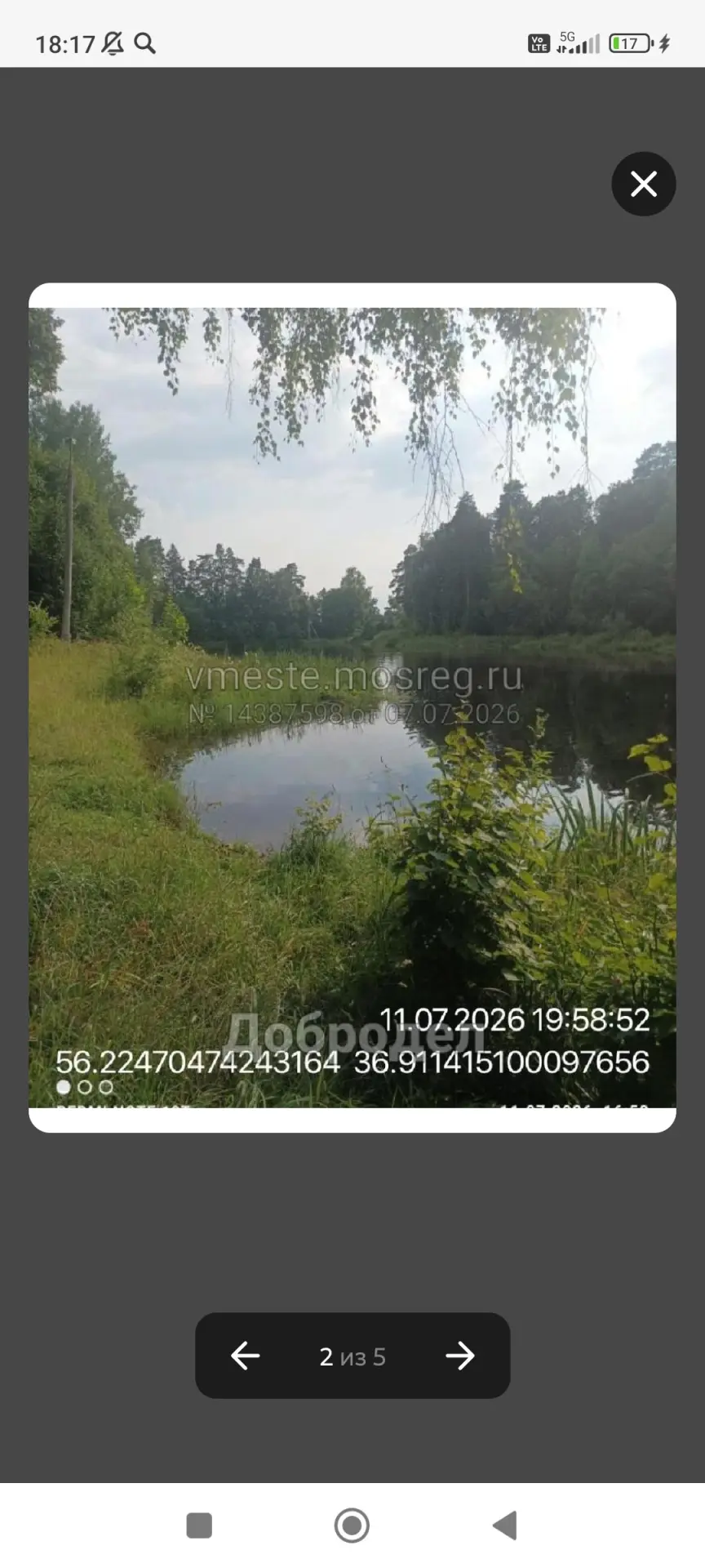 🚨 ВАЖНО ДЛЯ ВСЕХ ЖИТЕЛЕЙ СМИРНОВКИ, КОЗИНО И ДАЧНИКОВ, деревья Мошницы,Смирновка 2, Ле...