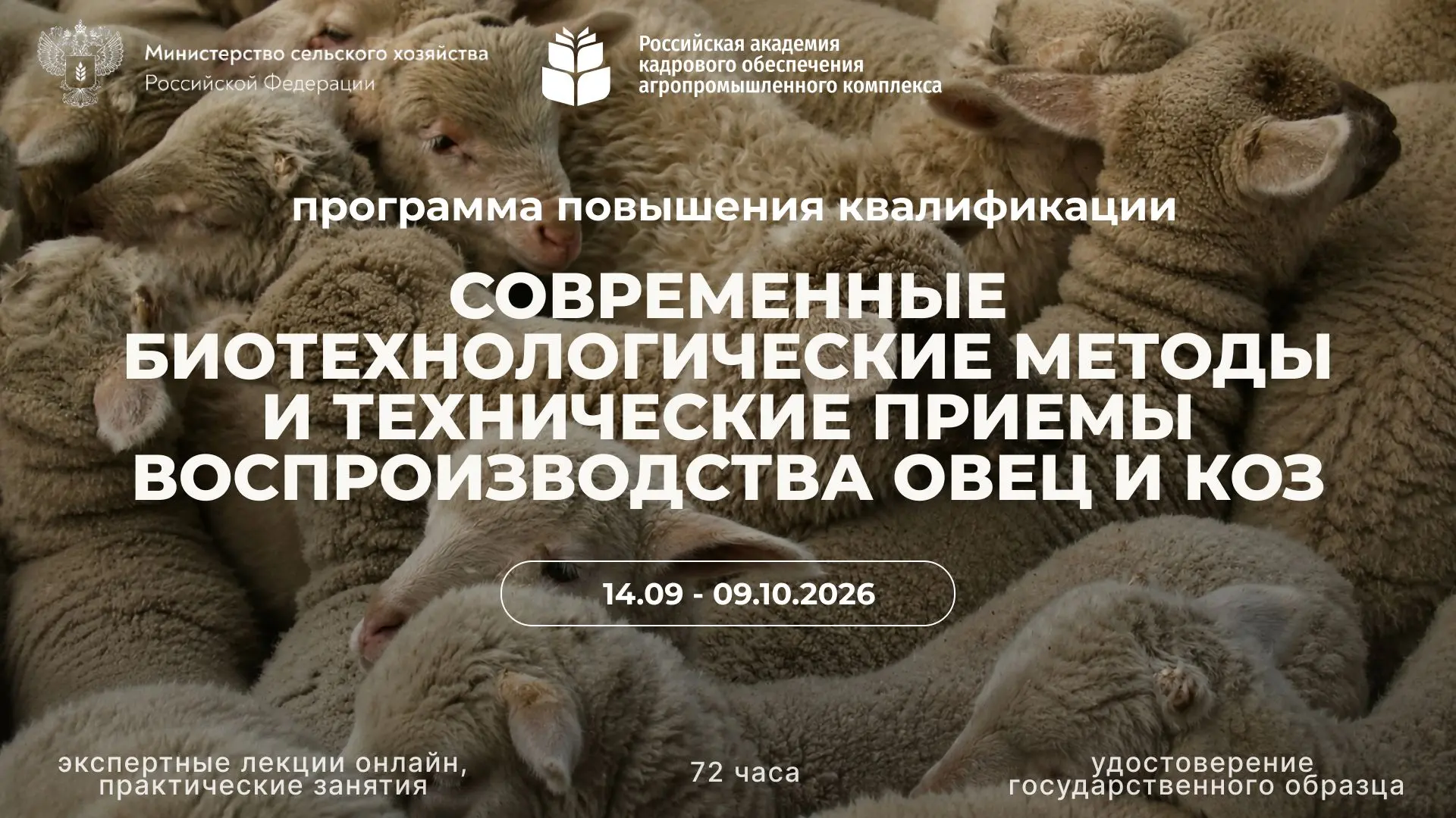 Сегодня началось обучение по программе повышения квалификации «Современные биотехнологи...