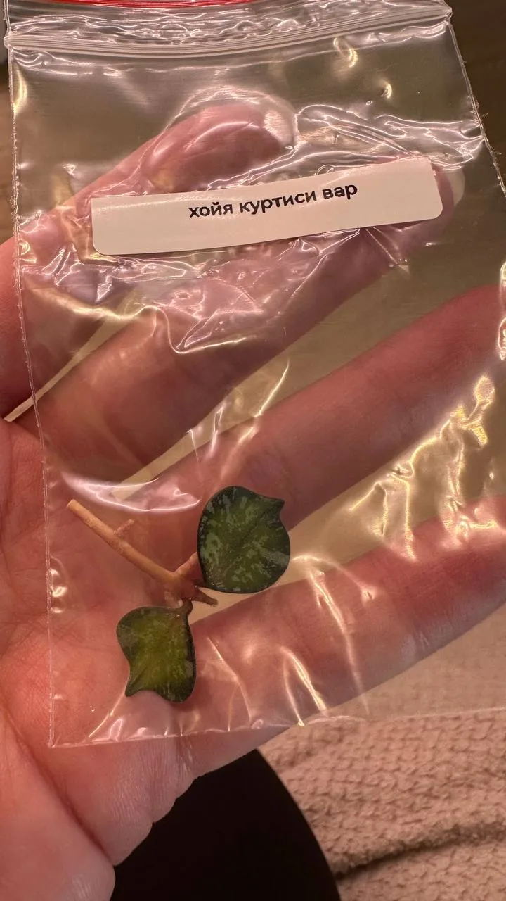 Новиночки вам первым показываю ❤️