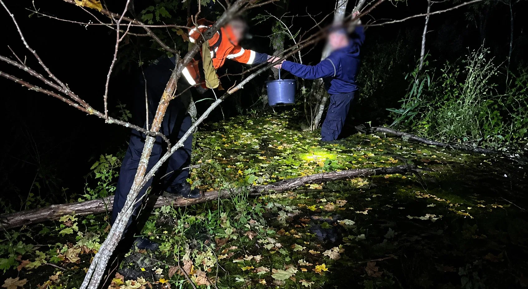 Ночные поиски завершились спасением: в Черняховском районе нашли пропавшего грибника