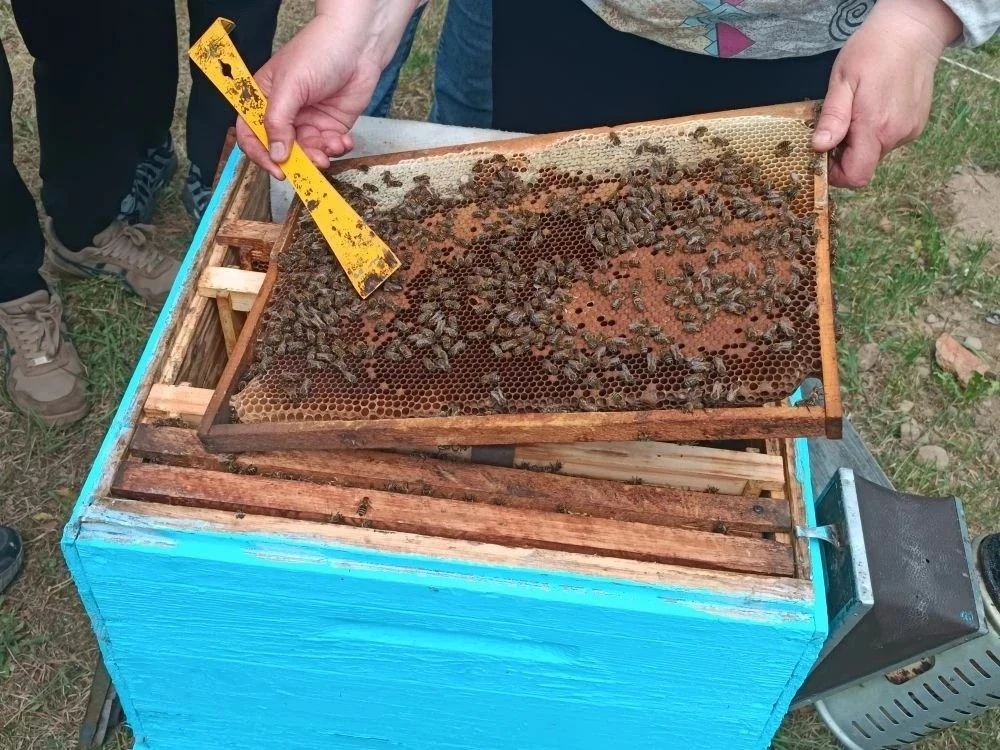 🐝 В ПРИМОРСКОМ ГАТУ ОТМЕТИЛИ ВСЕМИРНЫЙ ДЕНЬ ПЧЕЛЫ! 🍯  18 мая учебно-научно-производственная пасека н