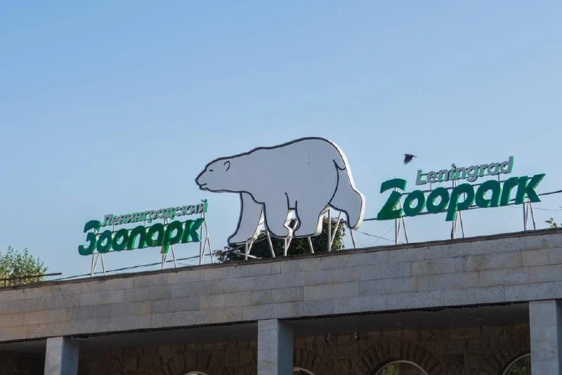 🥕 Дачный урожай петербуржцев ждут в Ленинградском зоопарке