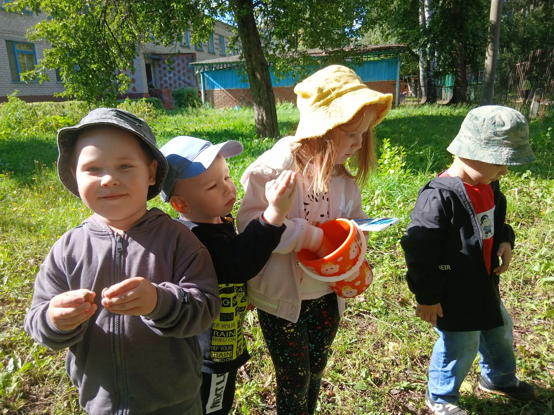 Сбор урожая желудей на прогулке в детском саду — это не просто приятное времяпровождени...
