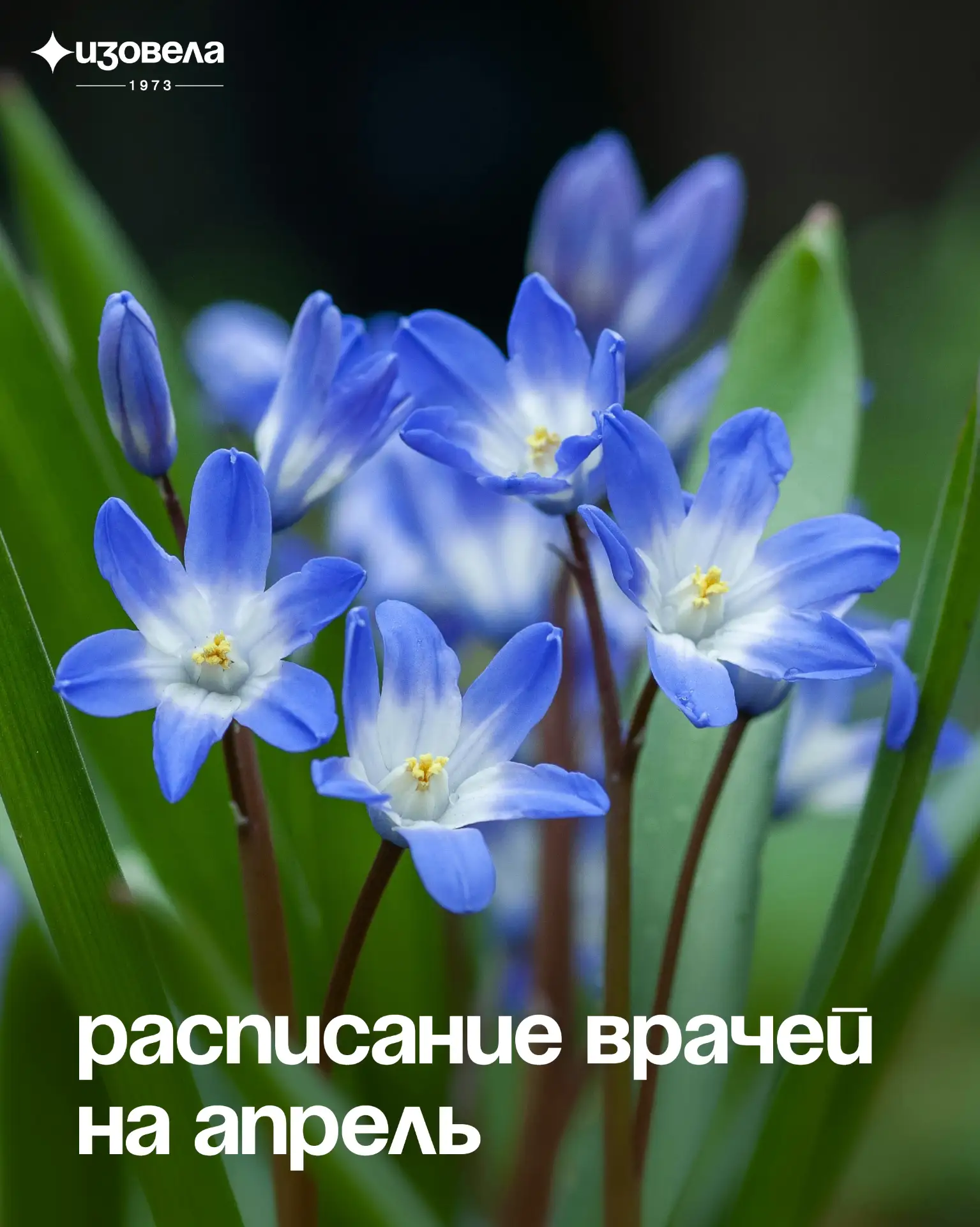 ✨ Открыта запись на приём к врачам медицинского центра и приглашённым специалистам в ап...
